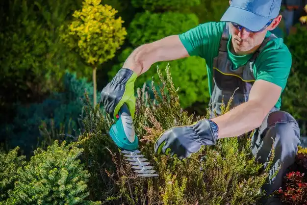landscaping services Arcanum